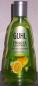 Preview: 3x 250ml Guhl Frische & Leichtigkeit Anti-Fett Shampoo Yuzu Zitrus
